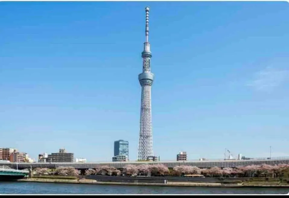 Aparthotel Momo Palace Tokyo Japan